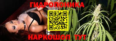 mdpv Пушкино