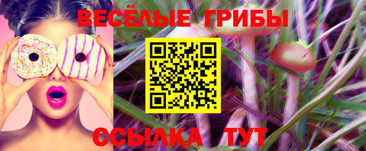Псилоцибиновые грибы Cubensis  Галлюциногенные грибы MAGIC MUSHROOMS  Рассказово  Вход с VPN 